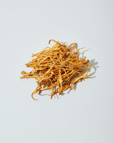 CORDYCEPS PILZ in der Hautpflege